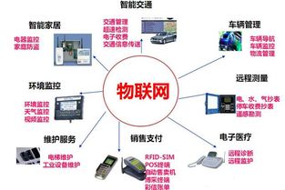 高考之后，專業抉擇 為何說計算機網絡工程是通往未來的關鍵一步